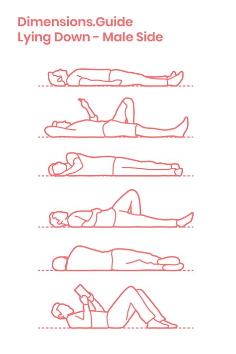 He delves deep into each area of the human anatomy including: Lying Down - Male Side | Human drawing, Art reference ...