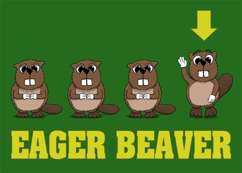 Beaver clipart eager beaver, Beaver eager beaver Transparent FREE for ...