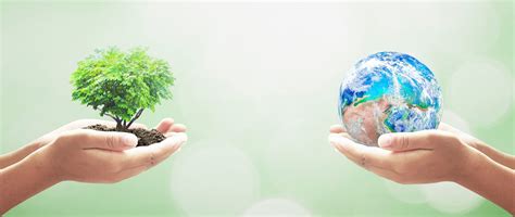 La sostenibilità ruota attorno a tre componenti fondamentali: Risparmio energetico e sviluppo sostenibile, ecco il ...