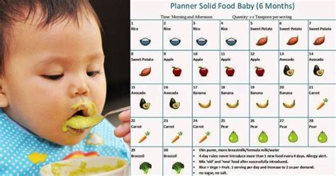 Makanan untuk bayi 6 bulan ini hanyalah makanan pendamping asi atau mpasi. Anak 6 Bulan Belajar Makan, Cuba Buat Jadual Pemakanan ...