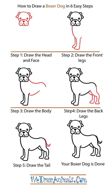 Throughout time, the family dog has been a symbol of steadfast loyalty and unconditional love. How to Draw a Cute Boxer Dog