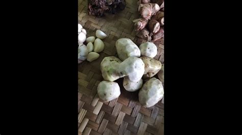 Cara membuat surat izin usaha ternyata tidak seribet yang dipikirkan oleh banyak orang. Cara membuat jamu kudu laos - YouTube