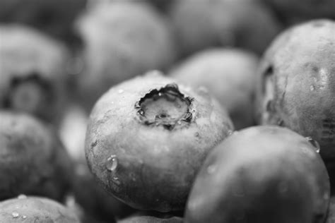 Black and white photography tip #2: Free Images : black and white, fruit, berry, food, produce ...