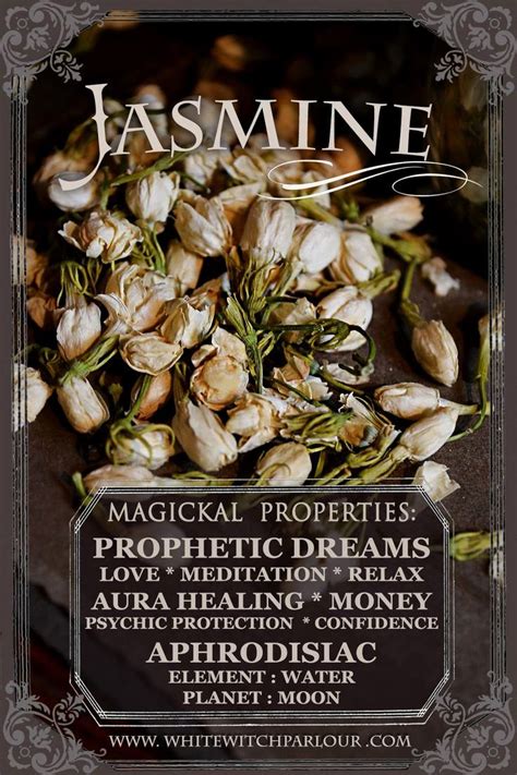 It can be incorporated into your diet to take advantage of their nutritional benefits. Dried Jasmine Flowers. Jasminum Officinale. For Love ...