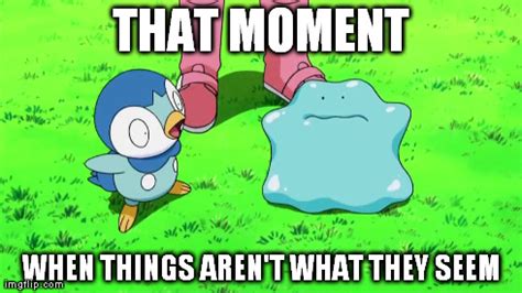 See more of ditto nhái memes on facebook. Ditto meme by AmagyDragon25 on DeviantArt