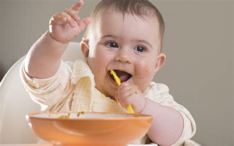 Startseite > baby > stillen & babyernährung > heruntergefallenes essen: Was Sie über Baby-led weaning wissen sollten