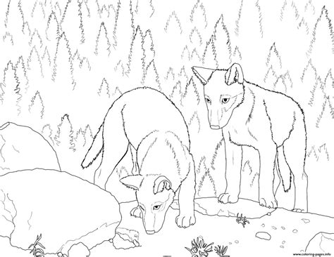 If there are wolves or other animals that interfere, the wolf father does not hesitate to fight and defeat him. Wolf S Pup Coloring Pages Printable