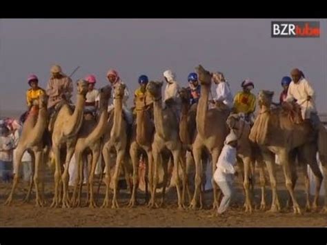 Child camel jockeys are often sexually and physically abused; Camel Racing Children - YouTube