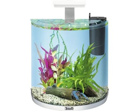 Unsere redaktion hat unterschiedlichste hersteller & marken analysiert und wir zeigen ihnen als. Aquarium Tetra ExplorerLine 30 l mit LED-Beleuchtung ...