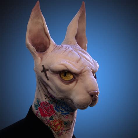 Hairless cat breeds are the result of genetic mutations. ArtStation - Canadian Hairless, wandong xu