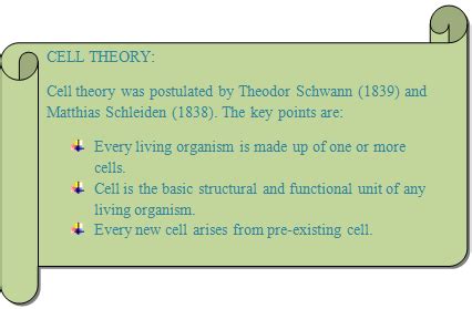 The nucleus controls the cell. Plant Cell and Animal Cell Structure with Images @ BYJU'S