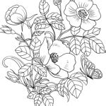 Printeaza aceasta plansa de colorat frumoasa flori crini desene de colorat 06. Desene de colorat cu flori si plante - Planse cu flori