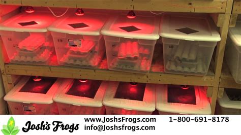 We did not find results for: How to House Crickets - YouTube