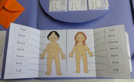 Check spelling or type a new query. so-koennte-das-lapbook-aussehen- - Zaubereinmaleins - DesignBlog