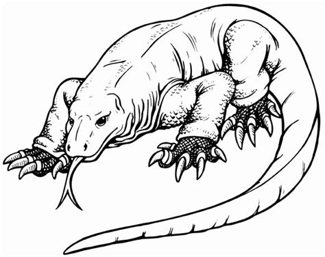 Dragon coloring pages are great for the imagination, and these dragon pictures will help your child's creativity soar. Komodo Dragon Coloring Page Best Of Komodo Dragon Animal ...