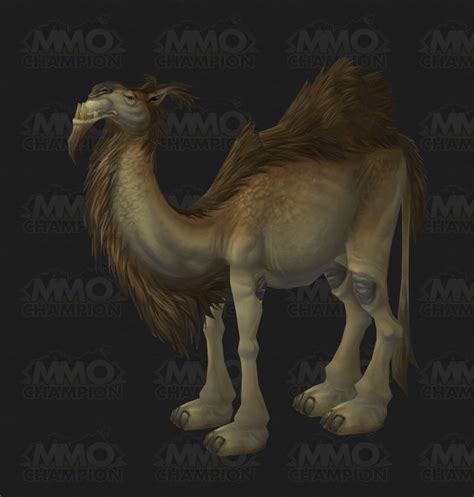 The following camels are sold by blacksmith abasi <ramkahen quartermaster> for 100. Cataclysm Models - MMO-Champion