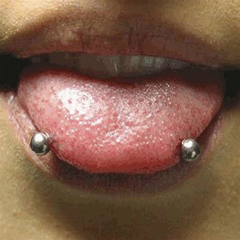 Snake eyes or snake bite tongue piercing is placed horizontally on both sides of the tongue symmetrical to each other and is a horizontal tongue piercing. Set of 2 Snake Eyes Tongue Ring Piercing 16G Extra Long ...