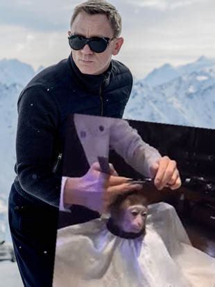 27 bad haircut memes to make you laugh sayingimages com. Monkey Taking A Haircut Meme Is Taking Over The Internet ...