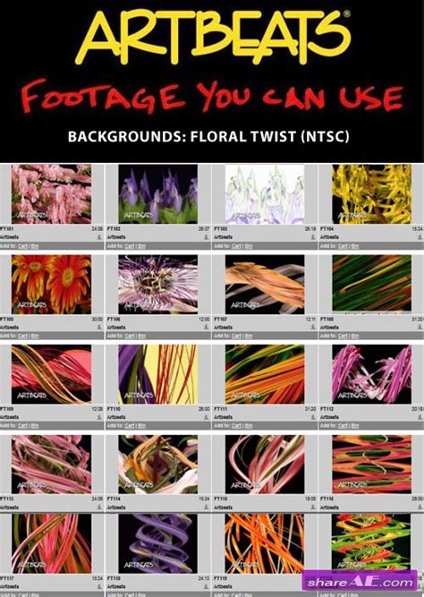 Thousands of new flower vector resources are added every day. Videohive Hello Nature - Floral Pack v2 - After Effects ...