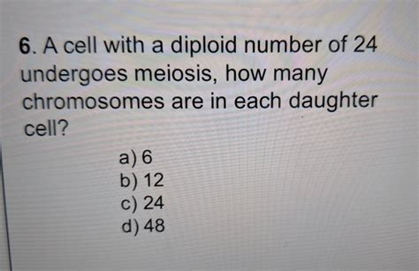 Maybe you would like to learn more about one of these? Solved: 6. A Cell With A Diploid Number Of 24 Undergoes Me ...