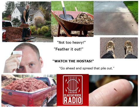 Some mulching plastic is biodegradable, meaning they break down over time into the ground and do not need removing. Putting Mulch Down Starter Pack : starterpacks