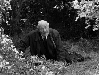 Not known she started swimming at the. Wild Strawberries Blu-ray Review (The Criterion Collection)