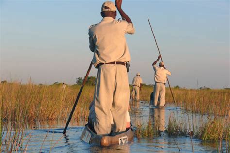 Kontakt mit erkrankten tieren kann auch für menschen gefährlich sein. Botswana mit dem Einbaum entdecken - Mortimer