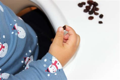 Selbst wenn es im moment noch kein interesse daran zeigt. Ab wann dürfen Babys Rosinen essen? | Babyled Weaning