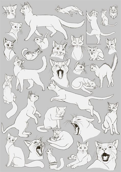 Cat walking changing to gallop by renegadestudios on deviantart. Cat Drawing Reference and Sketches for Artists