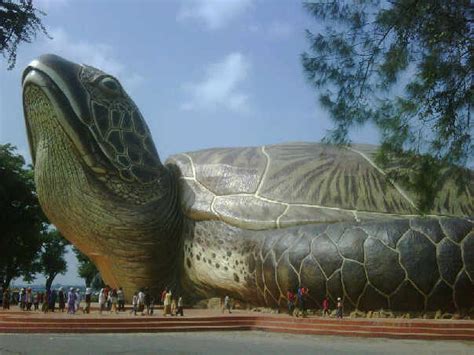 Anda bisa berwisata sambil belajar tentang satwa lebih tepatnya tentang kura kura. WISATA: MONUMEN KURA-KURA JEPARA