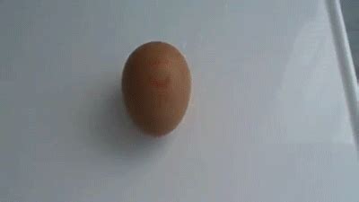 Here you will find tutorials on how to make gifs. Howtobasic Egg Gif - How to Wiki 89