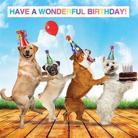 See more ideas about happy birthday meme, birthday meme, funny happy birthday meme. 101 Funny Happy Birthday Dog Memes for Paw Lovers ...