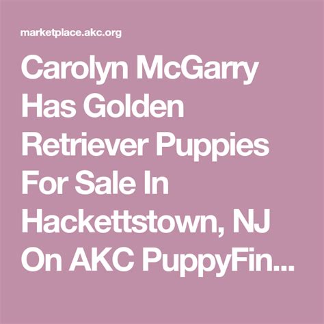 They make an ideal family dog and pet, play well with children, are easy retrieving characteristics: Carolyn McGarry Has Golden Retriever Puppies For Sale In ...