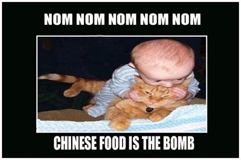 Find out in our unbiased nom nom cat food review. Chinese Food Nom Nom Nom