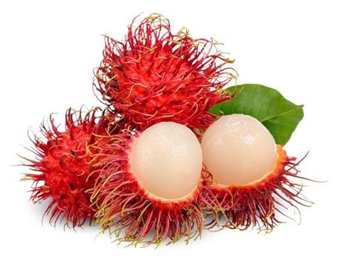 But what does it taste like? Rambutan (ID) - Pack of 500g / رامبوتان إندونيسيا : Buy ...