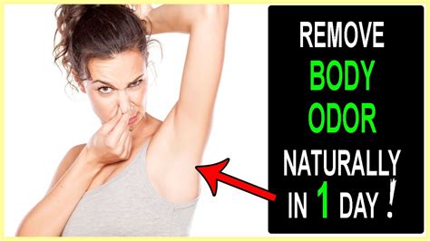 One of the common ways to get rid of vaginal odor in india is to use gooseberry or amla. Remove Body Odor Naturally & Permanently in 1 Day | Ways ...