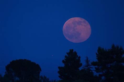 Fenomenul luna roz, vizibil si din romania. Luna Roz 2017 | Divahair.ro