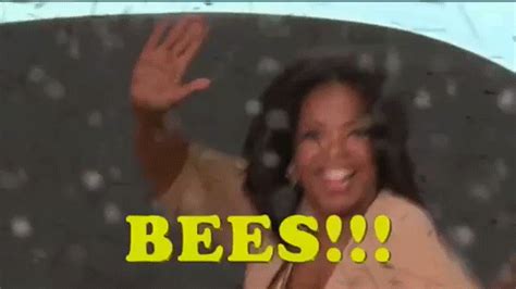 Lift your spirits with funny jokes, trending memes, entertaining gifs, inspiring stories, viral videos, and so much. oprahs bees | Tumblr