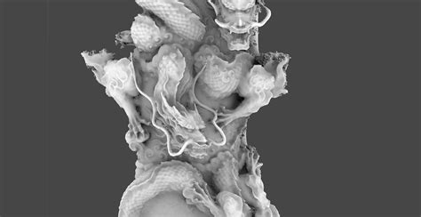 I did a drawing of a dragon for my homework. ArtStation - Dragon Statue 3D SCAN | Resources