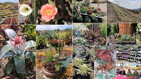 New and featured this month. 48-hour San Diego succulent madness