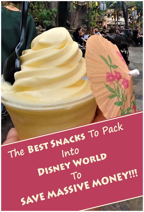 Easiest Snacks and Meals To Bring Into Disney Theme Parks ...