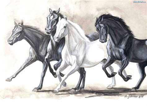 Whether you are looking for a child's room, a study, or a fantastic living room, our diverse horses running pictures and prints will meet your needs. Konie, Szkic