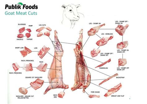 Jun 10, 2021 · viral! 10 Cara Memasak Daging Kambing Agar Empuk