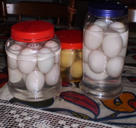 Contact telur puyuh untuk dijual on messenger. cara buat telur jeruk~ telur asin ~ Zawiah Diary