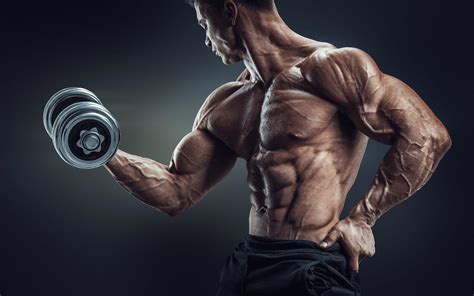 Find over 100+ of the best free bodybuilding images. Bodybuilding Wallpapers HD 2016 - Wallpaper Cave