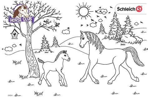 Schleich gmbh is responsible for. Ausmalbilder Schleich Pdf : Malvorlagen Schleich Bayala Coloring And Malvorlagan / 1.9 мб, 02 ...