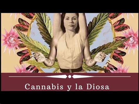 Así que algunas breves reseñas de nosotros libro gratis vende una amplia gama de artículos, desde a todos los demás productos. La Bruja Verde Pdf | Libro Gratis