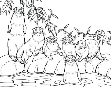 54.57 use the download button to view the full image of semi coloring page free, and download it for your. Otter Coloring Pages | Zoo animal coloring pages, Zoo ...