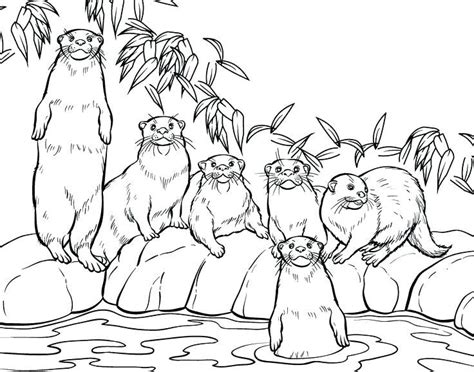 Coloring pages, worksheets, flash cards suitable for toddlers, preschool and kindergarten to help children recognize colors and color mixing. Otter Coloring Pages | Zoo animal coloring pages, Zoo ...