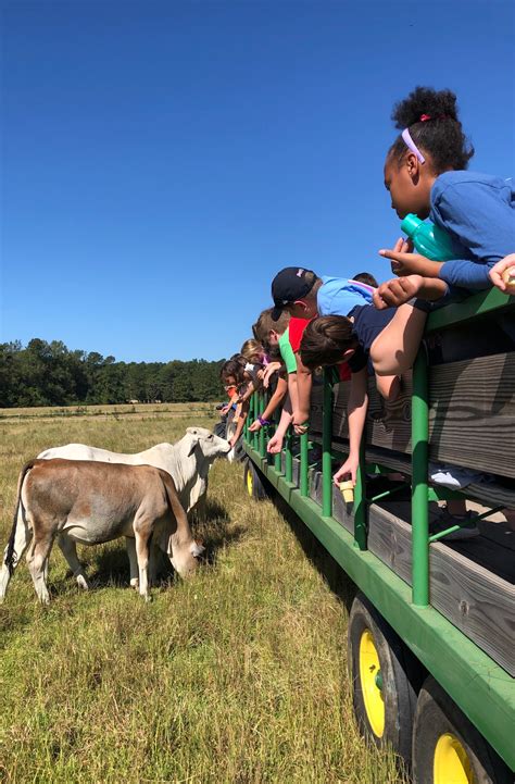 1415 n jk powell blvd, whiteville, nc. Group Tours - Thompson Farm & Nursery